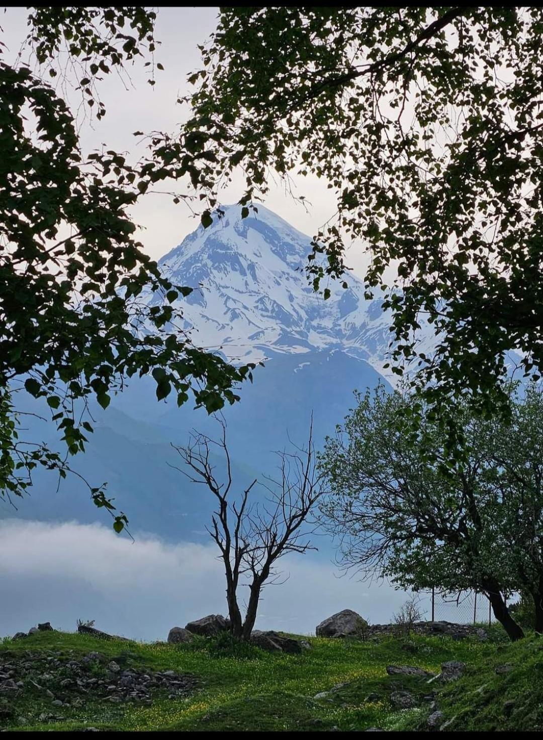 Crystal Kazbegi Hotel Екстериор снимка
